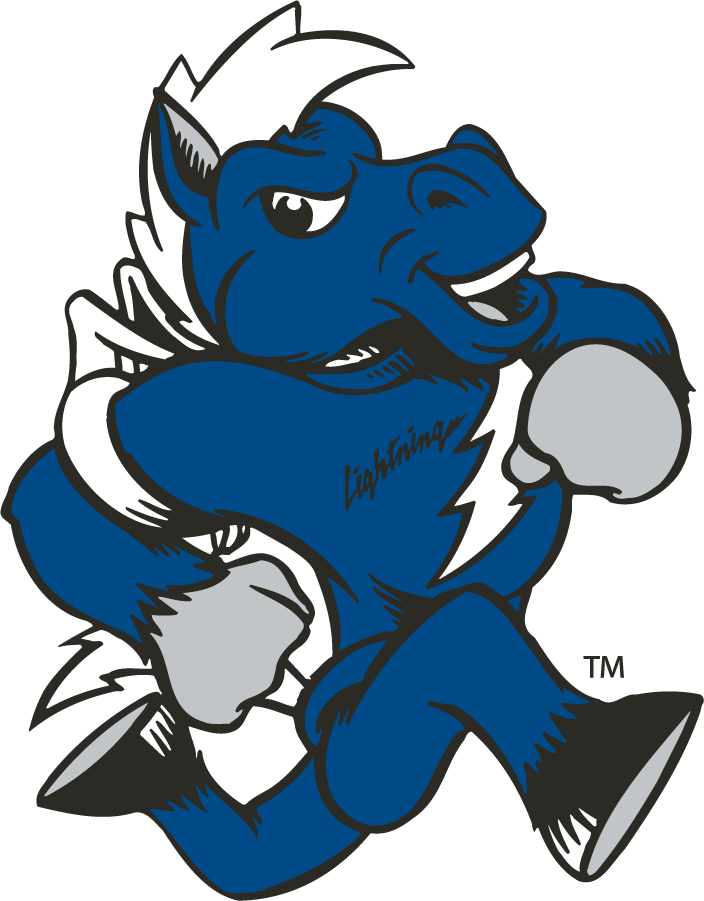 Middle Tennessee Blue Raiders 1998-2015 Mascot Logo iron on transfers for T-shirts